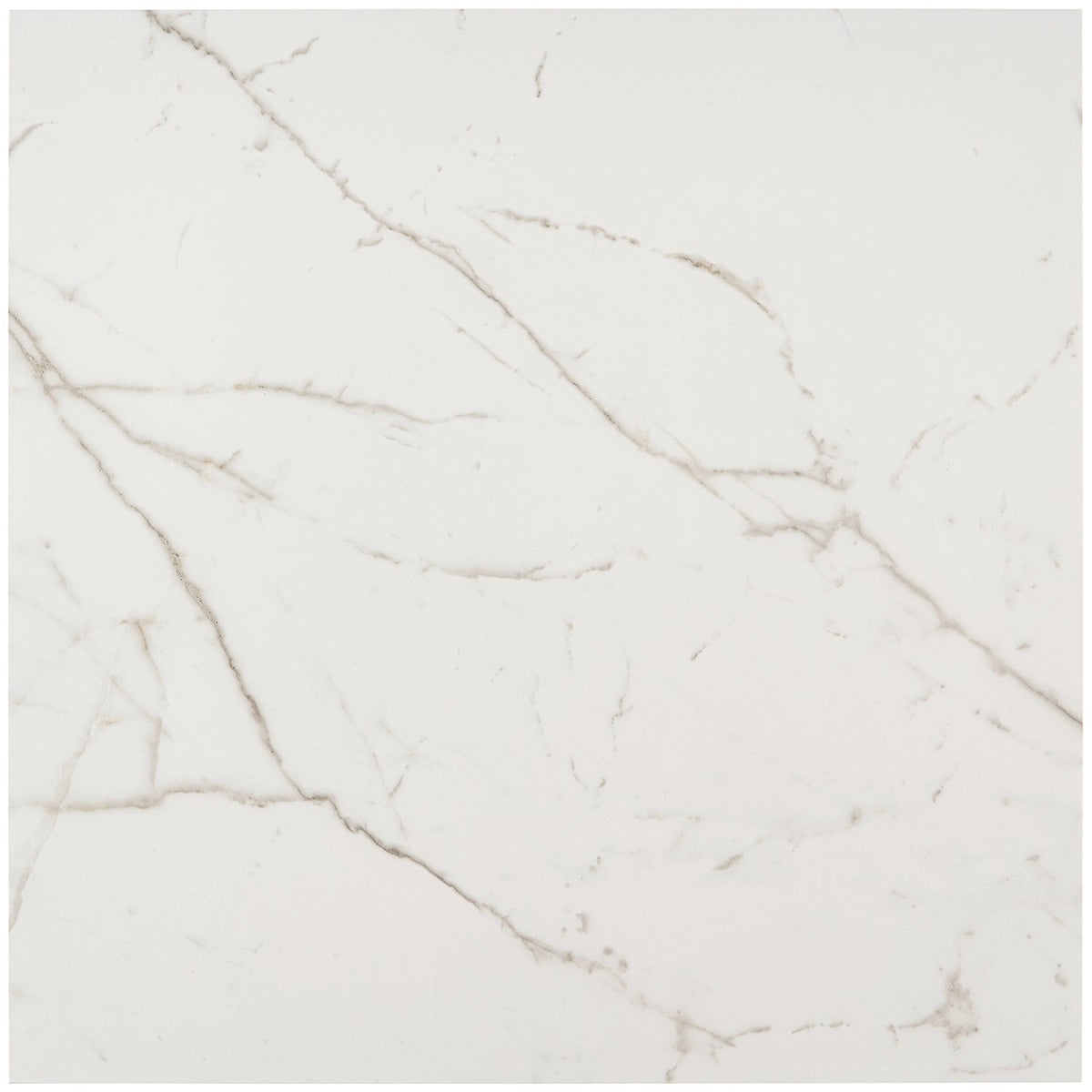 Versilia Statuario Matte Porcelain Tile 24x24 - Lux Tile