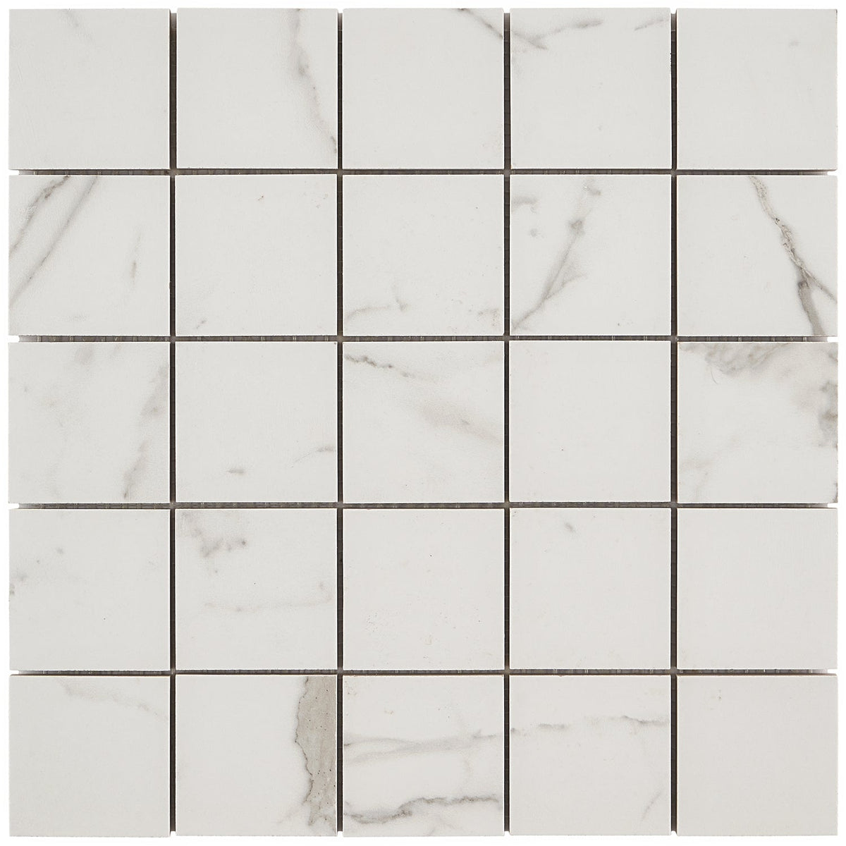 Versilia Statuario Matte Porcelain Mosaic Tile - 2x2