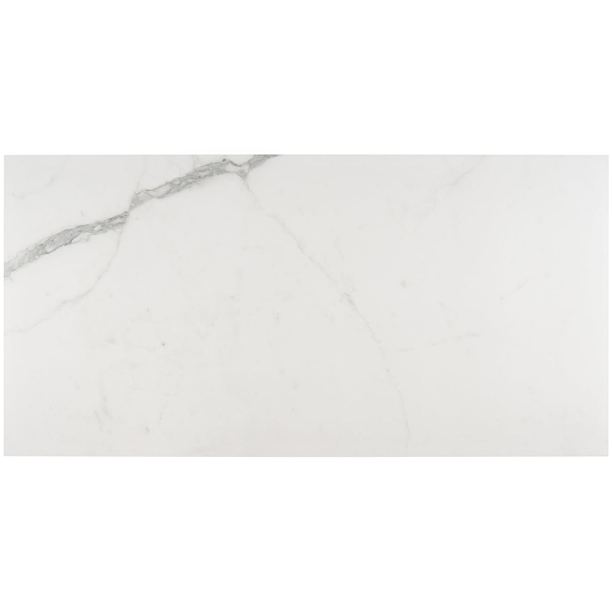 Tilebar Marmi Bianco Venato Matte Porcelain Tile 24x48
