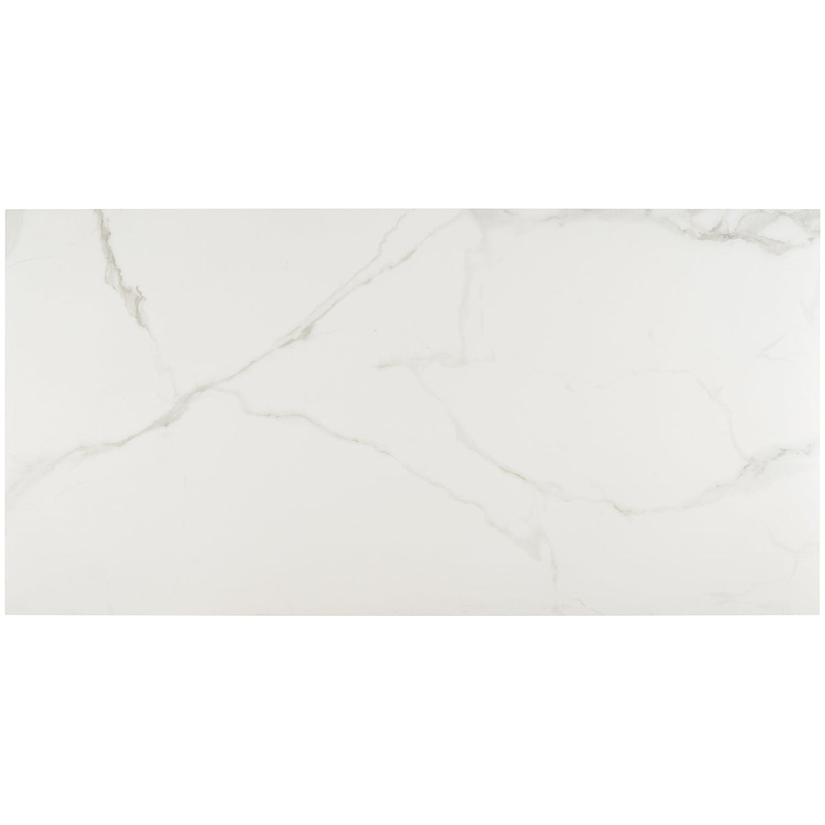 Lux Tile Calacatta White Matte Porcelain Tile 24x48