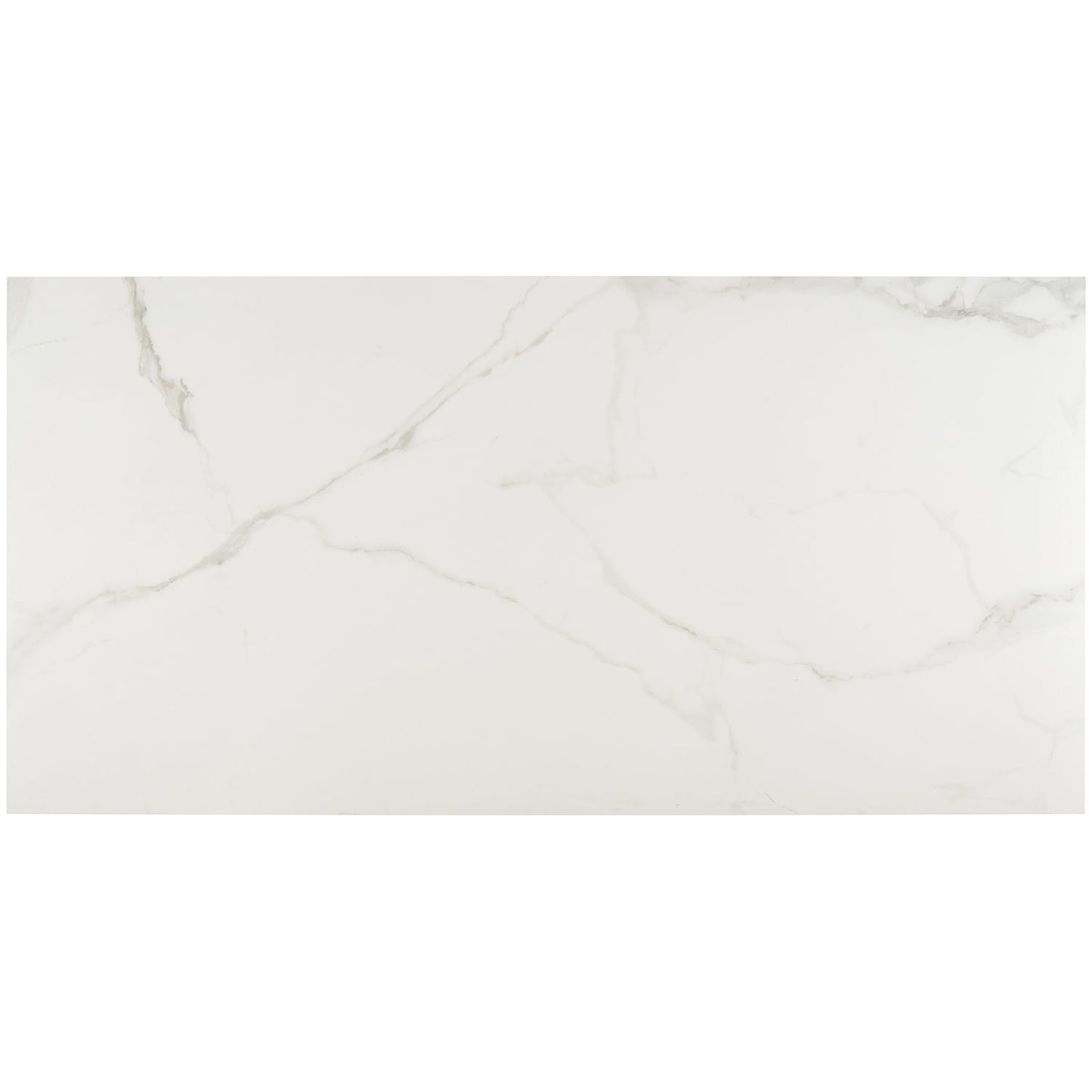 Lux Tile Calacatta White Matte Porcelain Tile 24x48