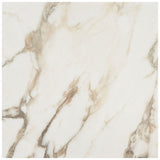DreamStone Calacatta Rustico Polished Porcelain Tile - 24x24