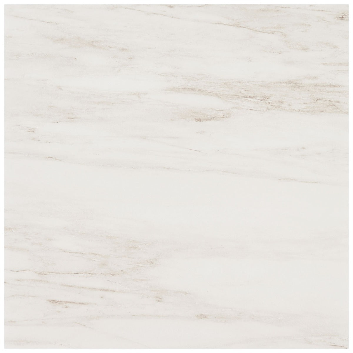 DreamStone Dolomite Snow White 24x24 Matte Porcelain Tile