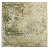 Angela Harris Dunmore Green 8x8 Polished Ceramic Wall Tile