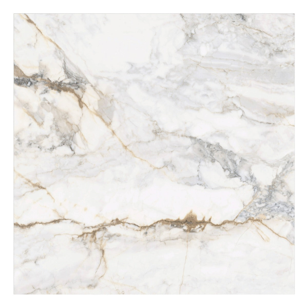 Tilebar Calacatta Macchia White Gold 48x48 Marble Look Matte Porcelain Tile