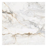 Tilebar Calacatta Macchia White Gold 48x48 Marble Look Matte Porcelain Tile