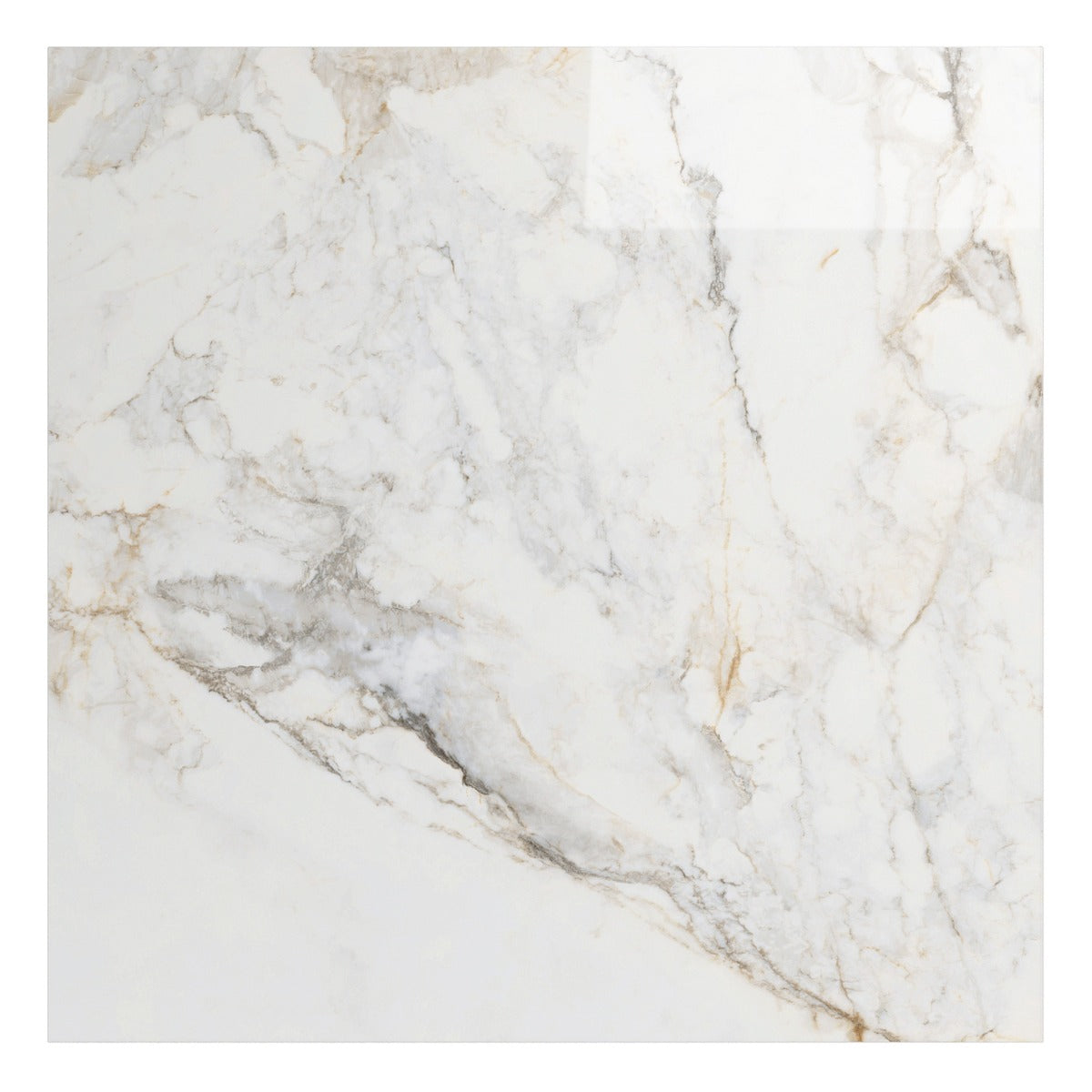 Calacatta Macchia White Gold 48x48 Marble Look Polished Porcelain Tile - Lux Tile