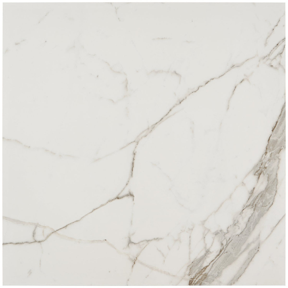 Versilia Statuario Polished Porcelain Tile 24x24 - Lux Tile