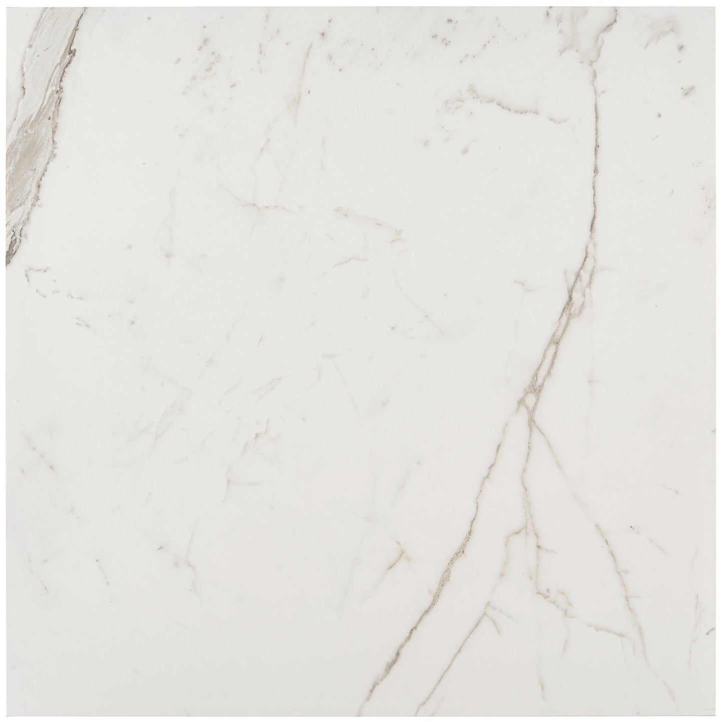 Versilia Statuario Matte Porcelain Tile 24x24 - Lux Tile