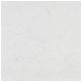 DreamStone Carrara Giola 24x24 Matte Porcelain Tile