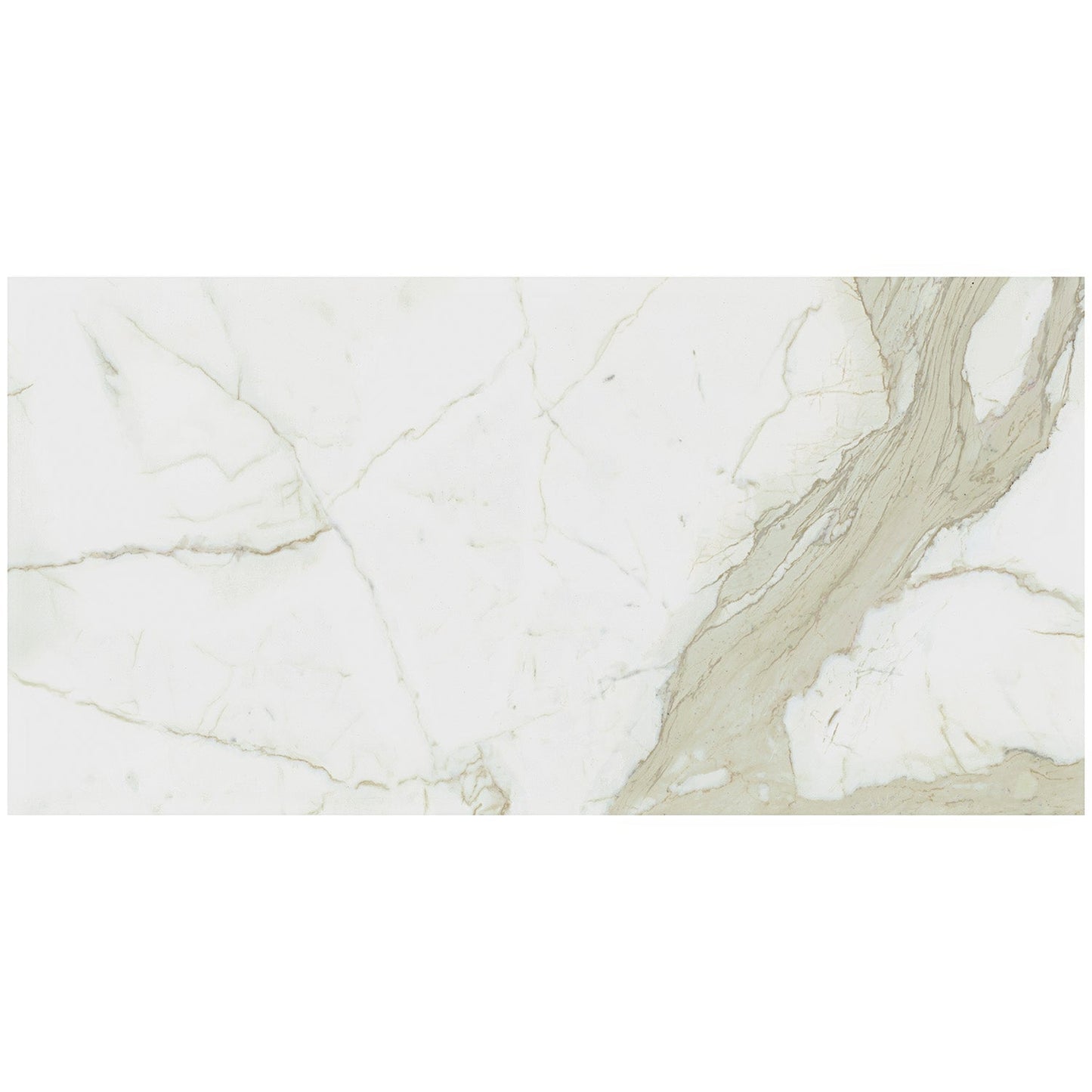 TileBarXL Marmi Slim Calacatta White 30x60 Polished Porcelain Slab