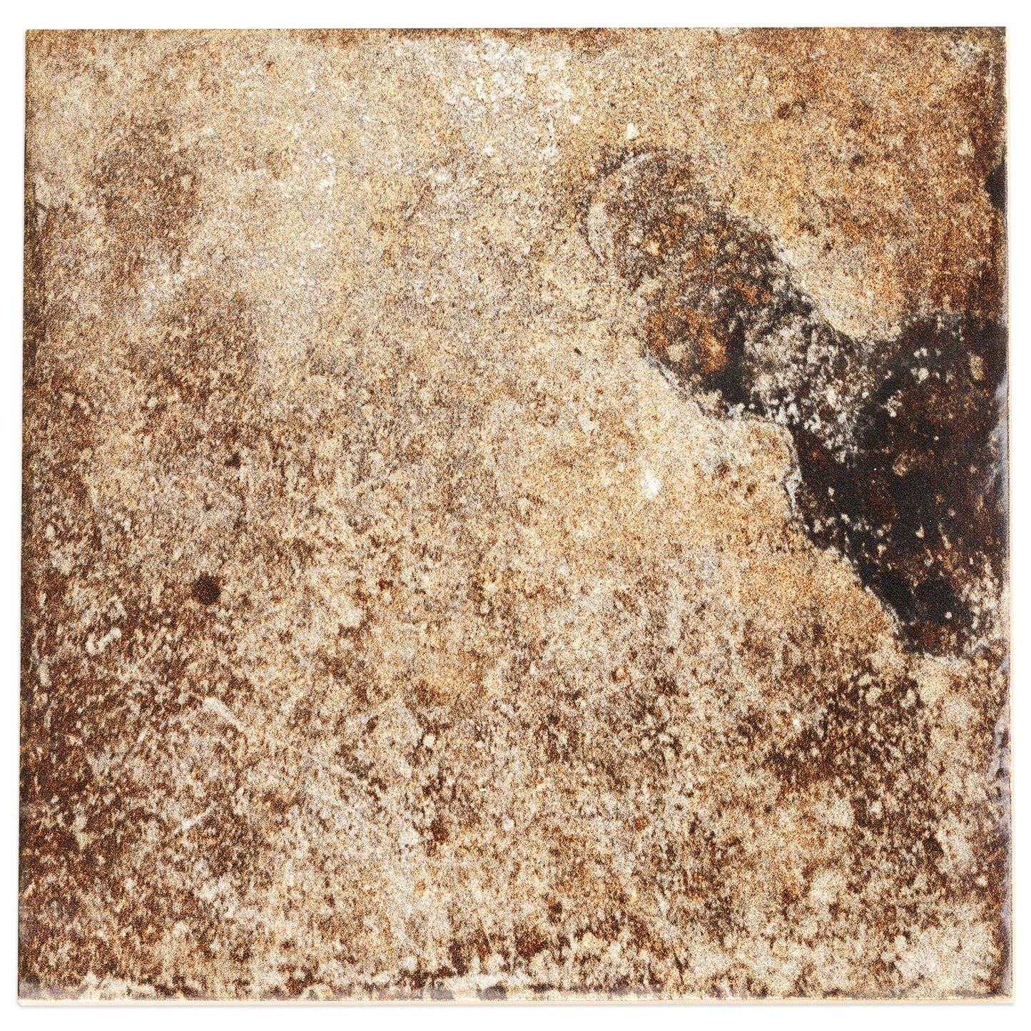 Angela Harris Dunmore Cotto Brown 8x8 Matte Ceramic Tile - Lux Tile
