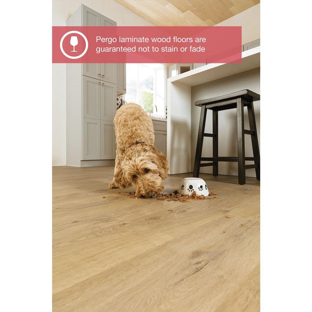 Pergo Outlast+ 7.4 in. W Sandy Cove Oak Laminate Wood Flooring (19.63 sq. ft./case)