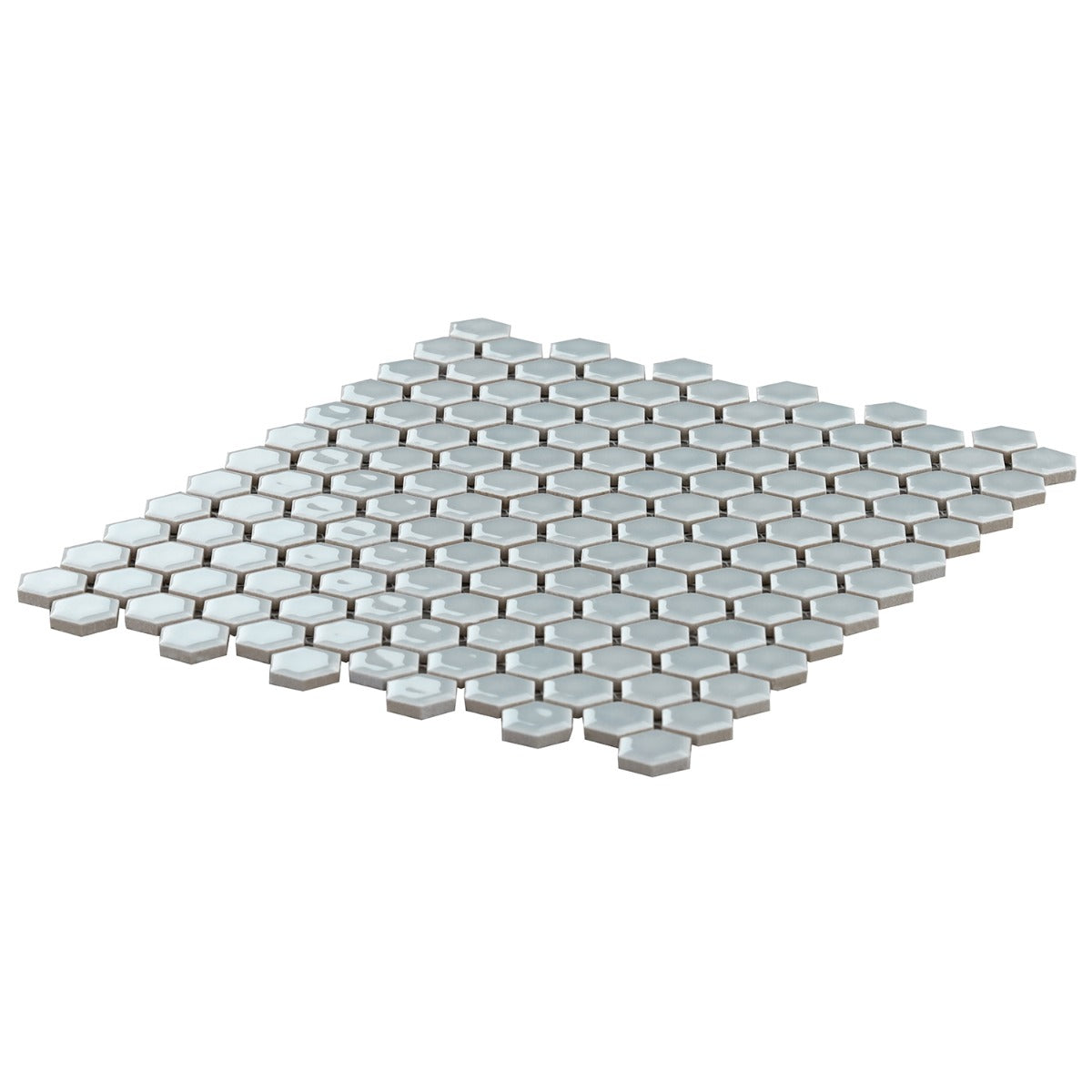 Eden Modern Gray Rimmed 1" Hexagon Polished Porcelain Mosaic Tile