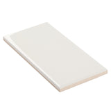 Park Hill Monumental Mist White 3x6 Polished Porcelain Subway Tile