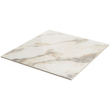 DreamStone Calacatta Rustico Polished Porcelain Tile - 24x24