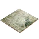 Angela Harris Dunmore Green 8x8 Polished Ceramic Wall Tile
