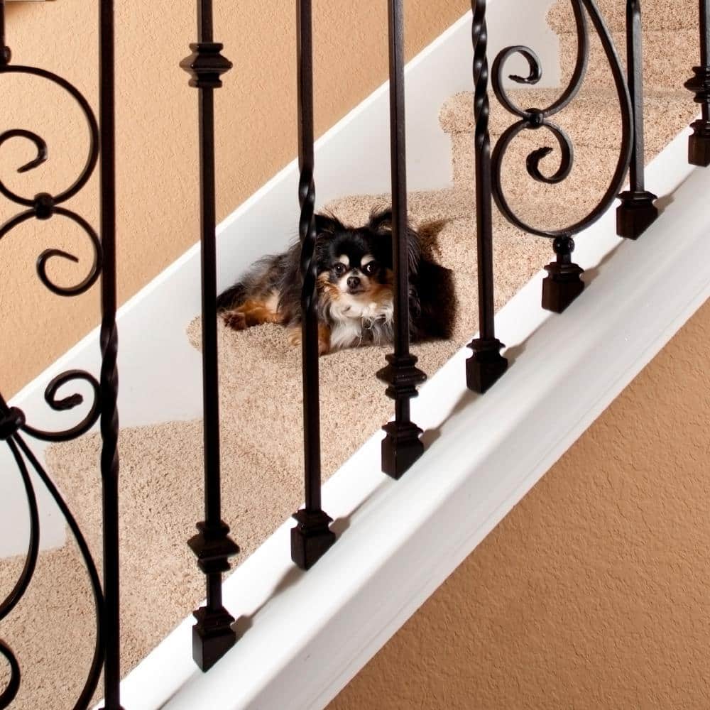 EVERMARK Stair Parts 5/8 in. Satin Black Angled Metal Baluster Shoe for Stair Remodel