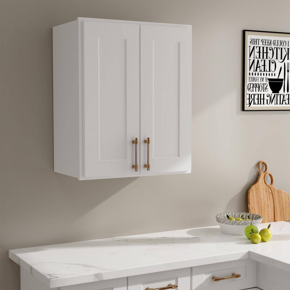 24 in W x 12 in D x 36 in H in Shaker White Plywood Ready to Assemble Kitchen Wall Cabinet with Doors and Shelves