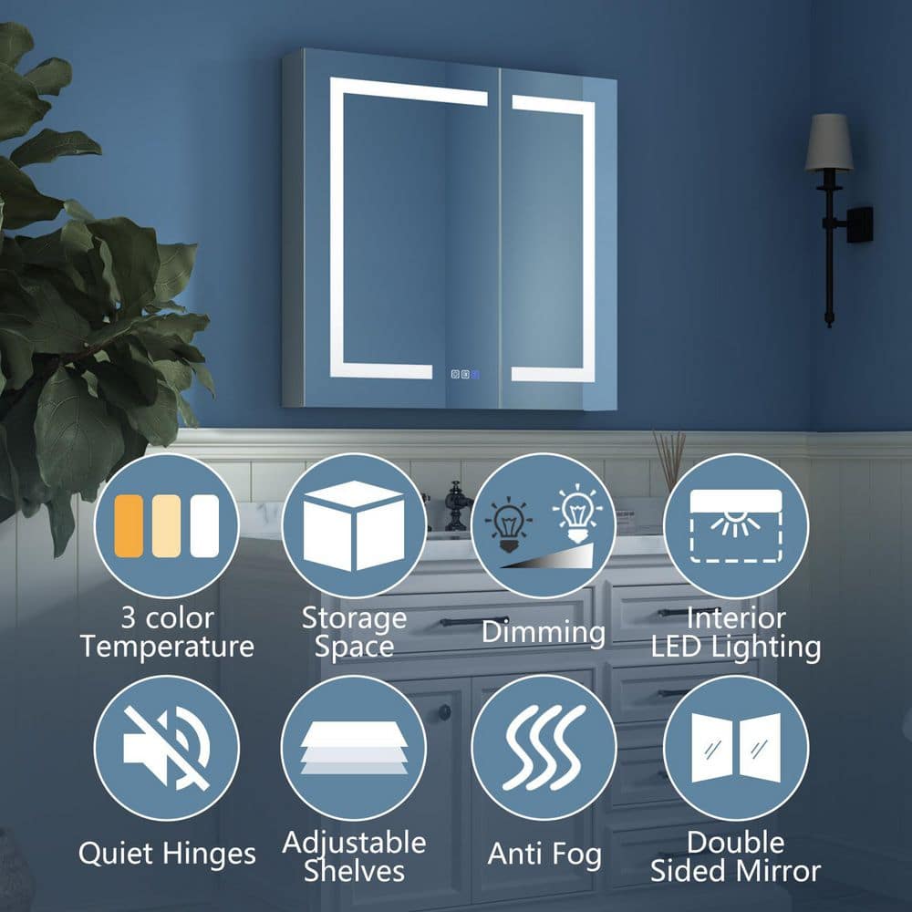 ExBrite 30 in. W x 30 in. H Medium Rectangular Silver Aluminum Recessed/Surface Mount Medicine Cabinet with Mirror and LED