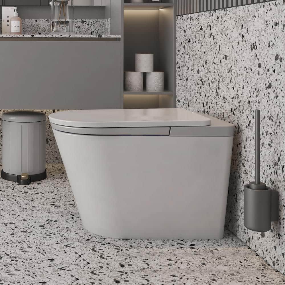 MEDUNJESS L-Z Elongated Smart Toilet with Auto Flush & Heated Seat