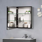 MEDUNJESS ASY 20 in. W x 26 in. H Rectangular Frameless Recessed or Surface Mount Medicine Cabinet with Mirror