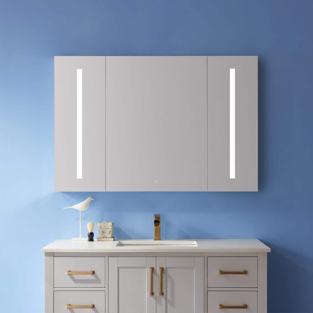 ROSWELL Rieti 48 in. W x 32 in. L Rectangular Surface-Mount LED Glass Surface Mount Medicine Cabinet with Mirror in Silver
