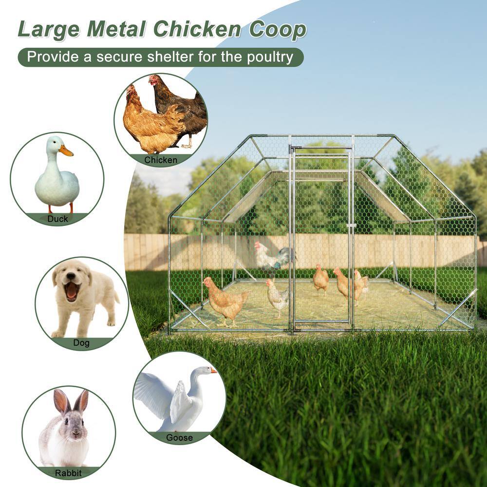 GOGEXX 10 ft. x 20 ft. Flat Top Large Metal Walk-in Chicken Coop Galvanized Poultry Cages with Waterproof Cover Outdoor