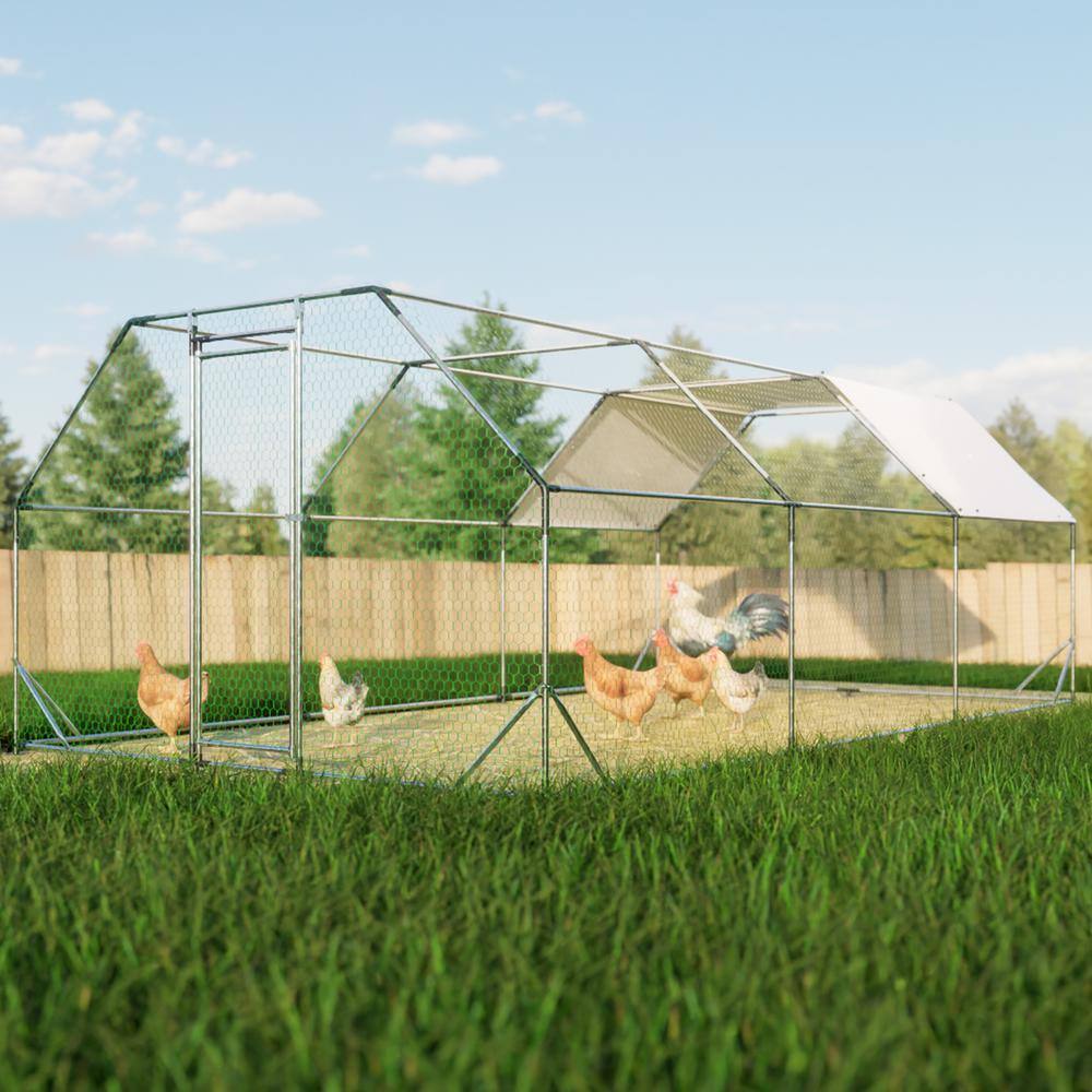 GOGEXX 10 ft. x 20 ft. Flat Top Large Metal Walk-in Chicken Coop Galvanized Poultry Cages with Waterproof Cover Outdoor