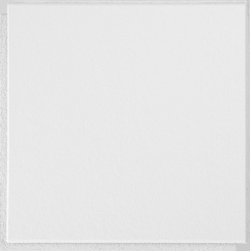 Armstrong Ceilings 12-in x 12-in Washable White Smooth Surface-Mount Acoustic Ceiling Tiles, 40-Pack