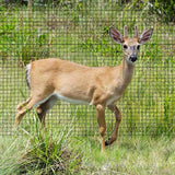 6.56 ft. x 82 ft. 4.6 oz. Plastic PP Stretch Net Deer Net Protective Net Fence Net Household