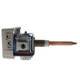 Rheem SP13846A thermostat - detail view (Voltage: 120v; Product Type: Thermostat)