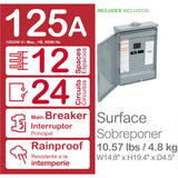 Square D Homeline 125-Amp 12-Space 24-Circuit Outdoor Main Breaker Plug-On Neutral Load Center - HOM1224M125PRBVP