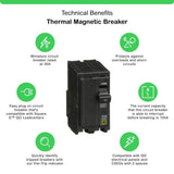 Schneider Electric Square D QO 30 Amp 2-Pole Circuit Breaker (QO230CP)