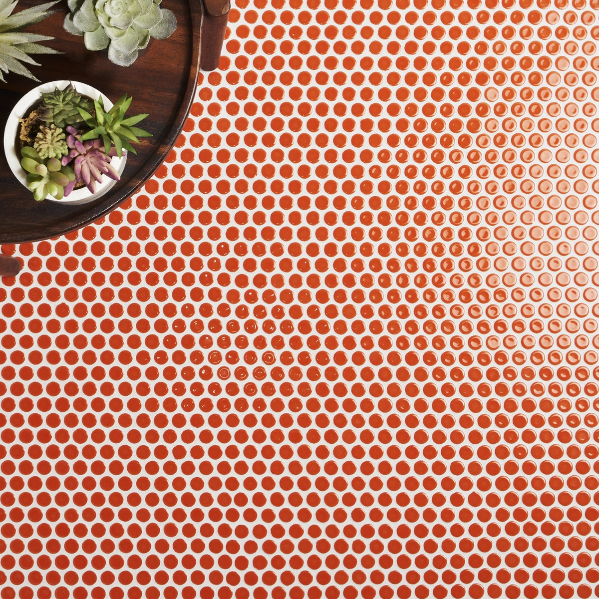 Eden Orange Nectar Rimmed Penny Round Polished Porcelain Mosaic Tile