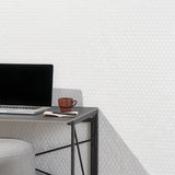 Eden White 1" Hexagon Polished Porcelain Mosaic Tile