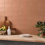 Stacy Garcia Maddox Terracotta 4x8 Matte Ceramic Subway Tile