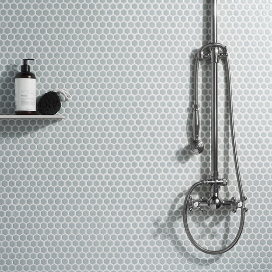 Eden Modern Gray Rimmed 1" Hexagon Polished Porcelain Mosaic Tile