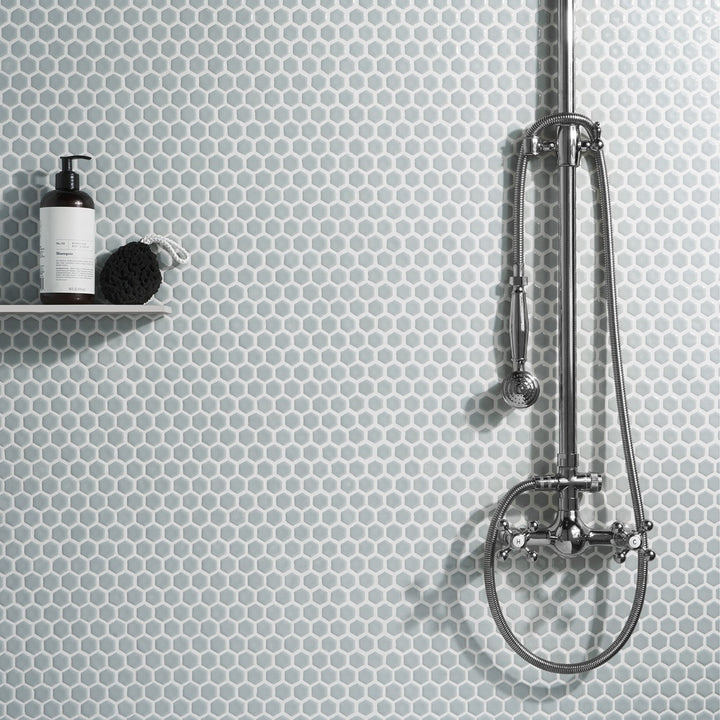 Eden Modern Gray Rimmed 1" Hexagon Polished Porcelain Mosaic Tile
