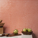 Eden Orange Nectar Rimmed Penny Round Polished Porcelain Mosaic Tile