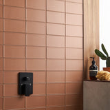 Stacy Garcia Maddox Frame Terracotta Matte Ceramic Subway Tile 4x8