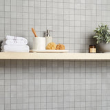 Clay Delight Gray 2x2 Matte Porcelain Mosaic - Lux Tile
