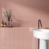 Park Hill Pink 3x6 Polished Porcelain Subway Tile for Walls