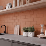 Stacy Garcia Maddox Frame Terracotta Matte Ceramic Subway Tile 4x8