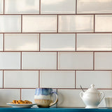 Vector Hueso White 4x8 Polished Ceramic Subway Tile - Lux Tile