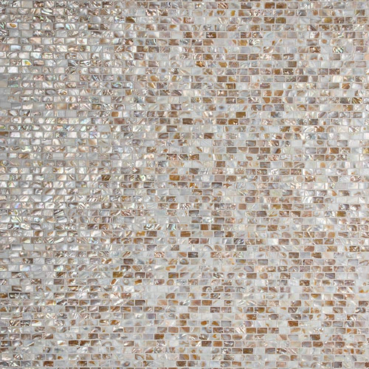 Merola Tile Conchella Subway Natural 12-1/4 in. x 12-1/2 in. x 2 mm Natural Seashell Mosaic Tile