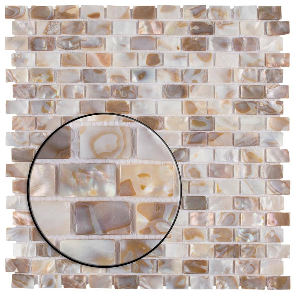Merola Tile Conchella Subway Natural 12-1/4 in. x 12-1/2 in. x 2 mm Natural Seashell Mosaic Tile