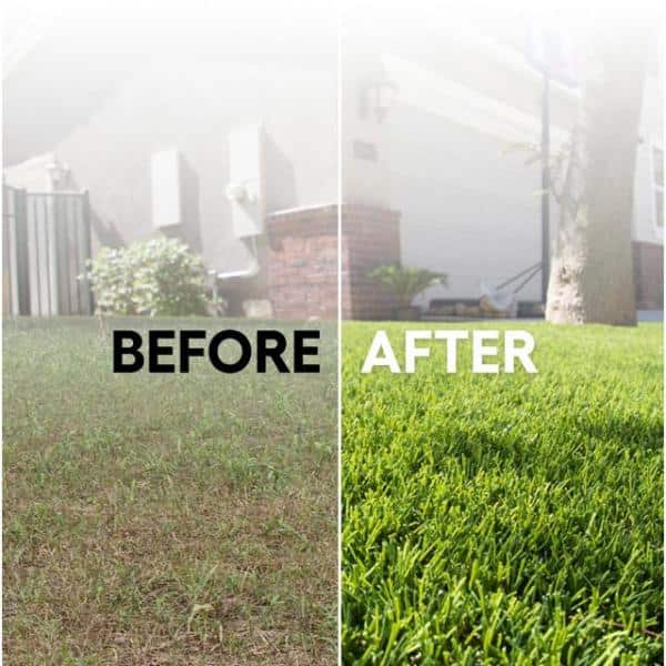 AstroLawn Verde 15 ft. Wide x Cut to Length Green Artificial Grass Carpet