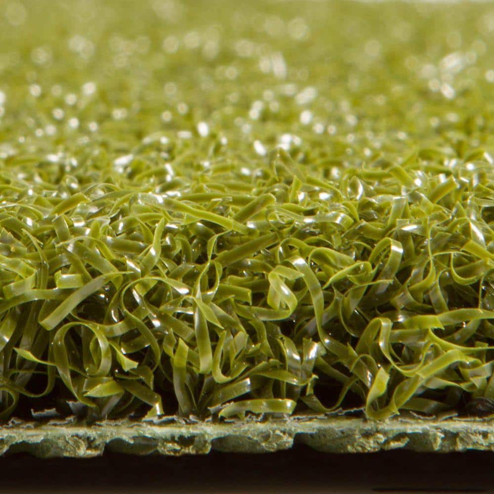AstroLawn Verde 15 ft. Wide x Cut to Length Green Artificial Grass Carpet