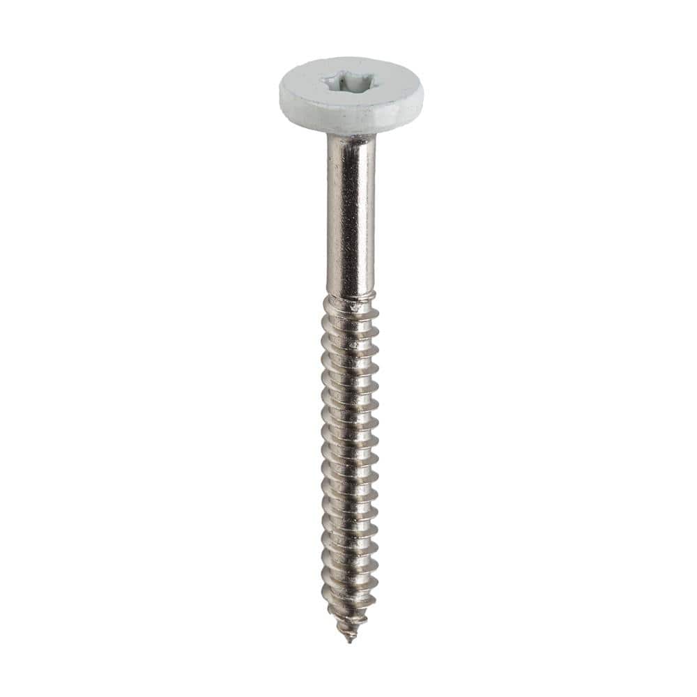 TimberTech TOPLoc for Composite Fascia Ivory 80 LF (100 1 3/4-in Screws, 1-bit)